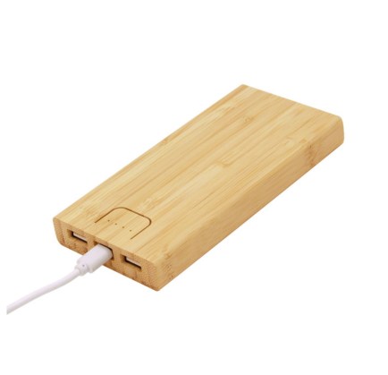 BAMBPOWER 2_EC769_5